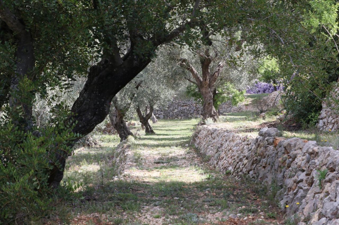 Villa Foia Vella - Adults Only Benigembla 외부 사진