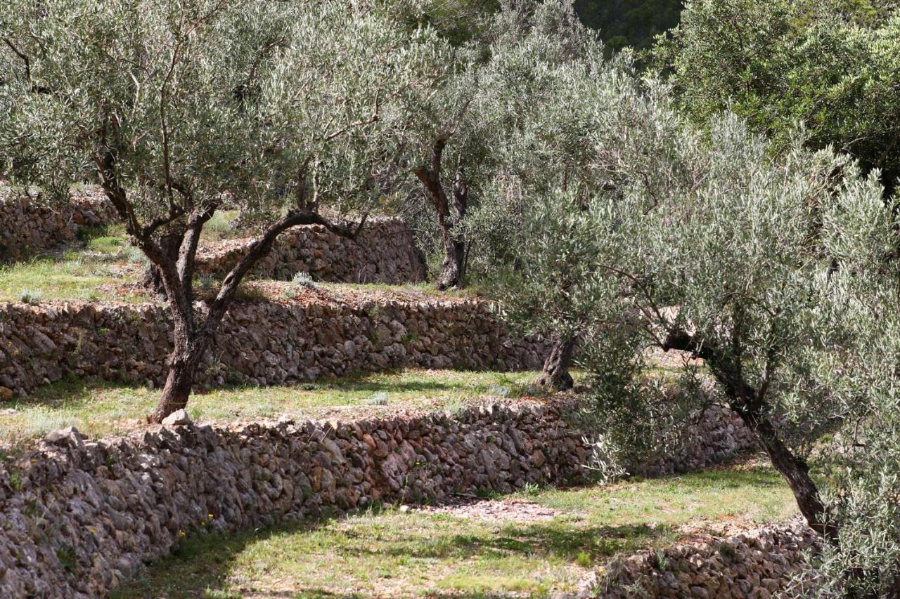 Villa Foia Vella - Adults Only Benigembla 외부 사진